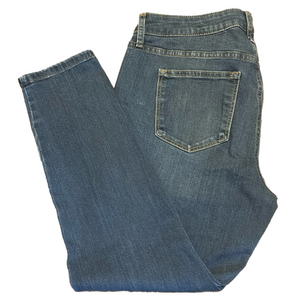 Sonoma Skinny Blue Denim Jeans Short
